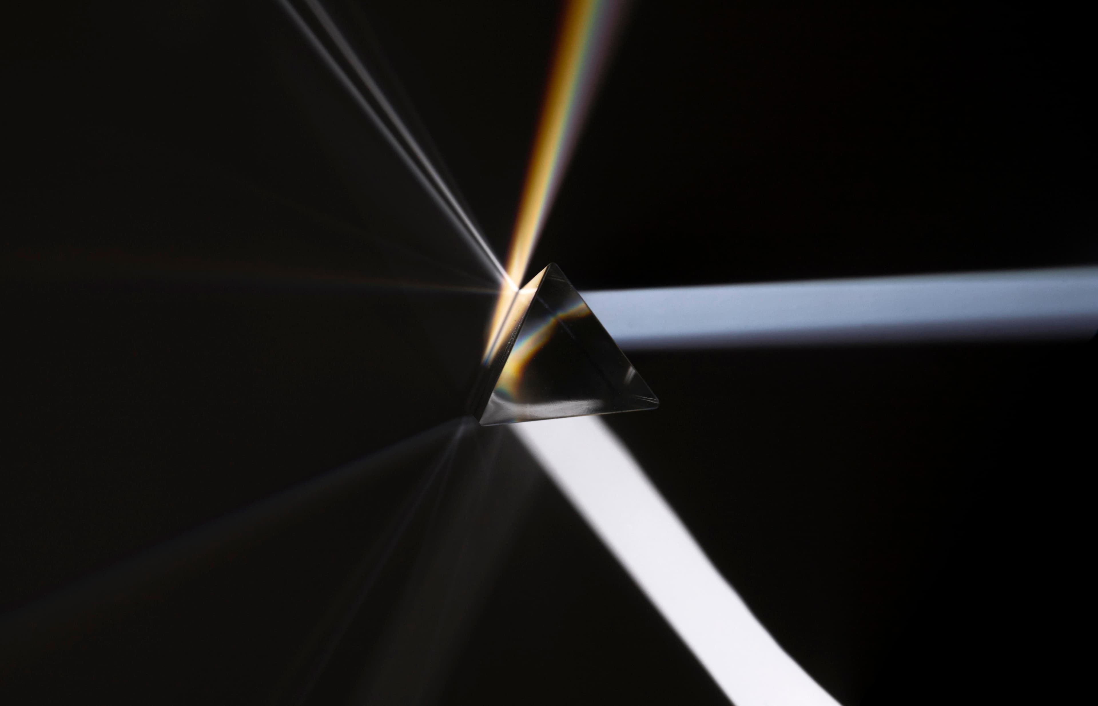 İş & Sosyal Güvenlik Hukuku kapak fotoğrafı